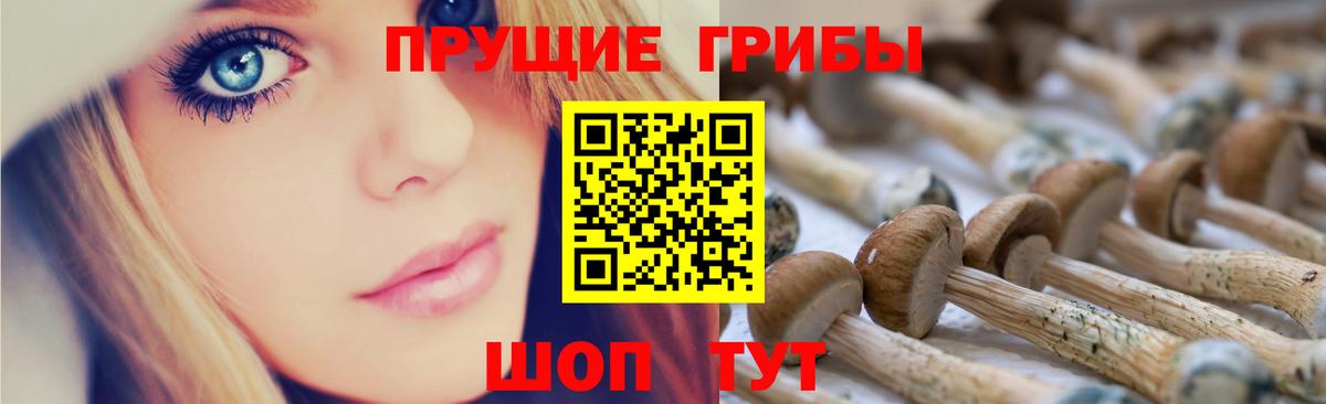 Псилоцибиновые грибы Psilocybe  Вход с VPN  Саров 